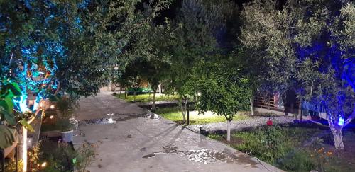 The Olive Grove in Borsh