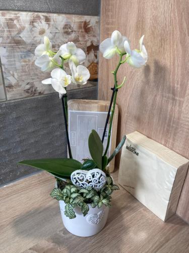 VILLA BRUNEGG Leoben GÖSS VILLA BRUNEGG Leoben GÖSS