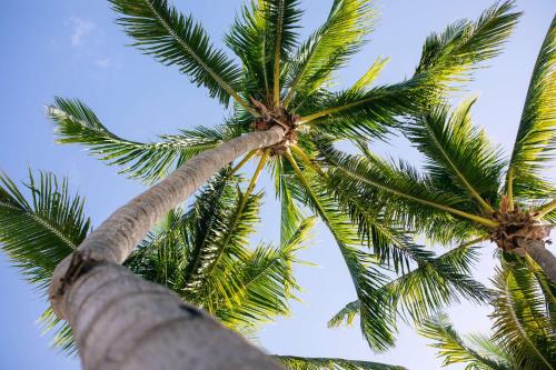 Casa Marina Key West, Curio Collection by Hilton in Key West, USA