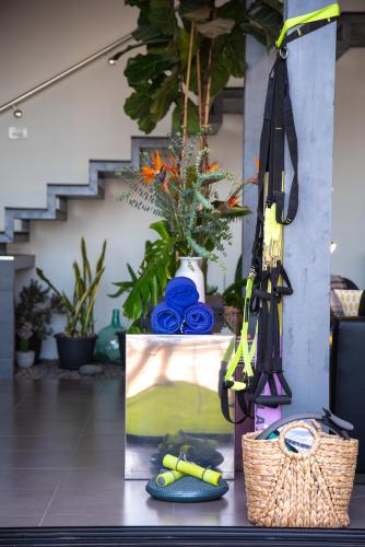 House Gallery 10 House Gallery 10