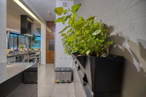 House Gallery 10 House Gallery 10