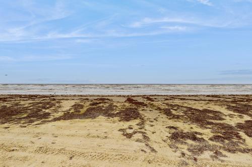 The Reynolds Beach House in Galveston, USA