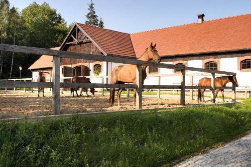 Hotel SPA Dr Irena Eris Wzgórza Dylewskie - Wysoka Wieś