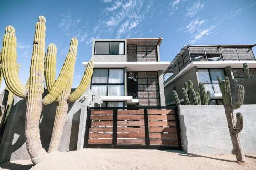 Baja Winds Condo Ocean view in La Ventana, Mexico