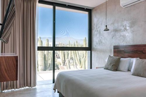 Baja Winds Condo Ocean view in La Ventana, Mexico