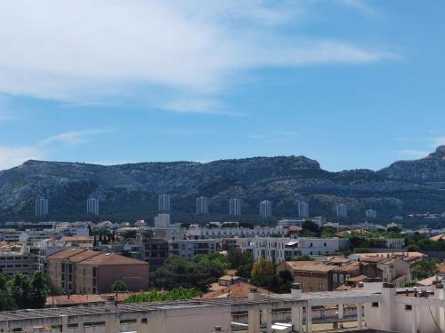 Grand appart au calme , proche mer et Stade Vélodrome, Marseille (fotografie 5)