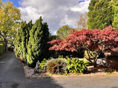 Prestashortstays in Sydenham