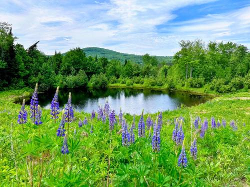 2M New rustic contemporary home with stunning views, great amenities and perfect private location. 2M New rustic contemporary home with stunning views, great amenities and perfect private location.