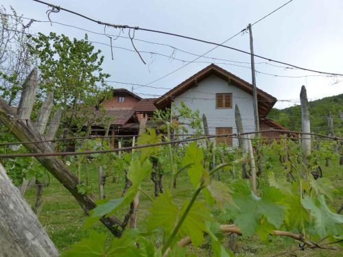 Udvendig, Holiday home in Dragatus - Kranjska (Krain) 50798 in Dragatus