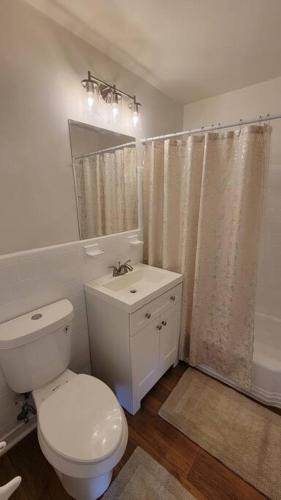 apartment, one bedroom, Arlington (fotografie 6)