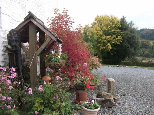 Kilna BnB - image 9