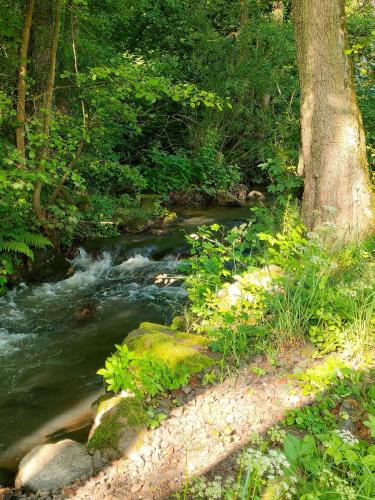 Wind in den Weiden, Übernachten am Bachlauf (Wind in den Weiden, Ubernachten am Bachlauf) in Brachttal