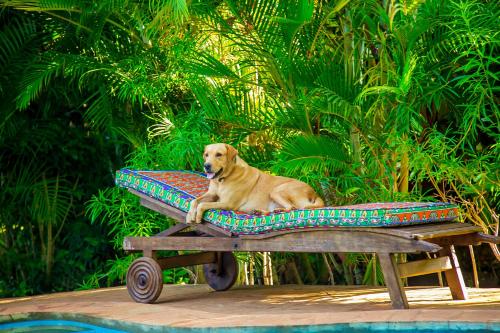 Beach Cottage for 4 in Galu beach, Diani Beach - Tap to explore photos