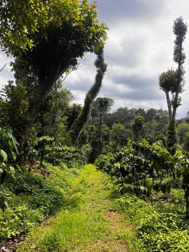 Surrounding environment, Lara Homestay in Byadane