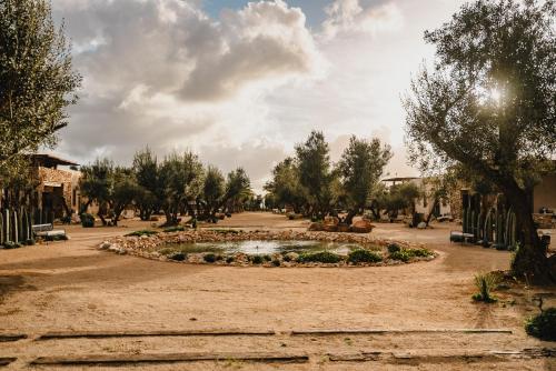 Hábimo - Valle de Guadalupe, Valle de Guadalupe (fotografie 10)