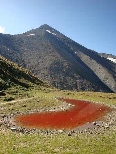 Hotel Garni Aurora - image 12