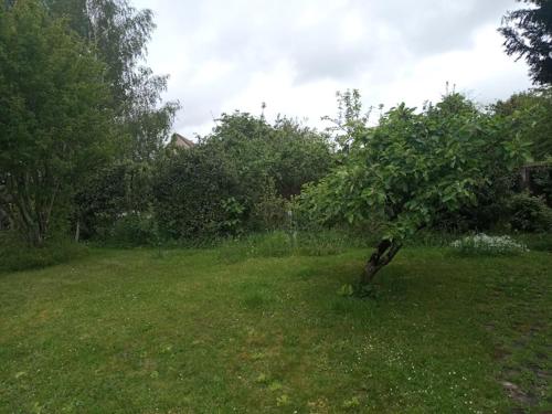 Chambre d'Hôtes de La Galaisière (Chambre d'Hotes de La Galaisiere) in โนเซ