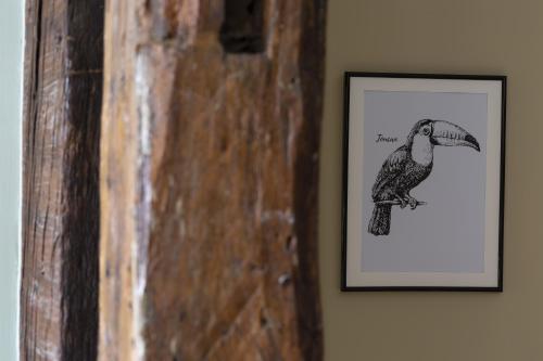 LE TOUCAN by Cocoonr - image 9