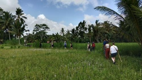 Ari Guest House in Bangli