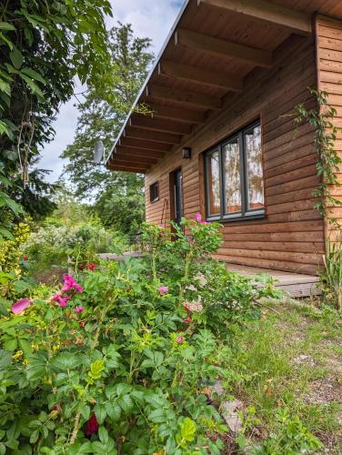外部景觀, Klein aber fein, Ferienhaus am Tonteich in 科尼希 武斯特豪森