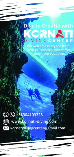 Apartment Zaglav 1 - first sea row Apartment Zaglav 1 - first sea row