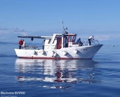 Apartment Zaglav 1 - first sea row Apartment Zaglav 1 - first sea row