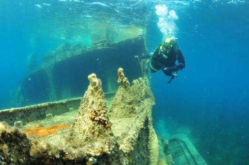 Apartment Zaglav 1 - first sea row Apartment Zaglav 1 - first sea row