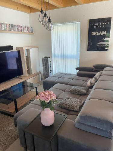 Modern house close to Basel, Freiburg, Mulhouse, Europa-park gîte à louer Blodelsheim