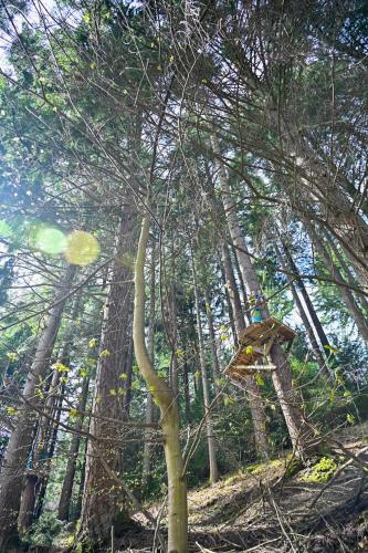 Pitlochry Youth Hostel - image 8