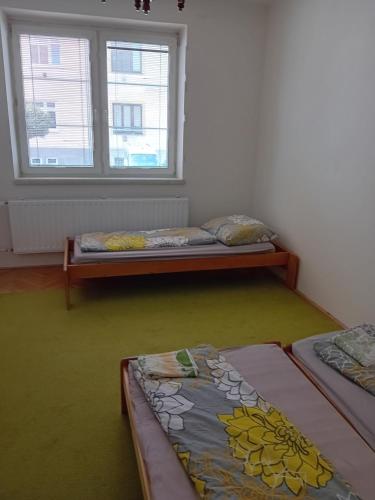 Holub apartment in city centrum