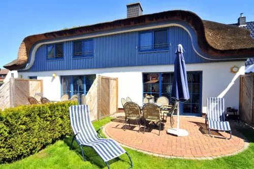 Seemöwe in Zingst, Deutschland