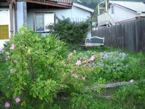 Arctic Paradise B&B – Seward, AK