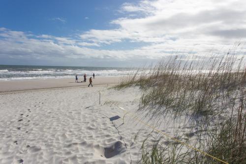 Cozy Studio - Walk to the Beach! in Jacksonville Beach, USA