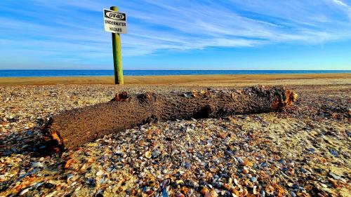 Pier Walk Unit C by Tybee Beach Vacation Rentals Pier Walk Unit C by Tybee Beach Vacation Rentals