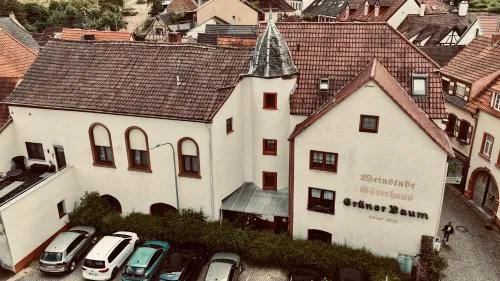 Gästehaus Grüner Baum in Sankt Martin, Deutschland
