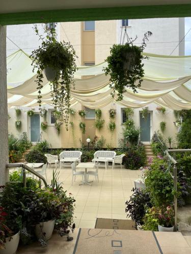 Hotel Garden - image 5