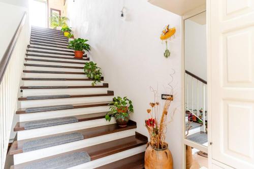 Thea Maris – Maratea, AZ