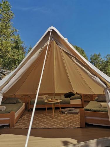 Camp Oaza,Lipa in Cetinje