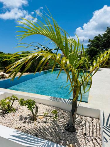 Villa Tropical Heaven - Terres Basses - Location, gîte - Les Terres Basses