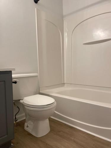 Spacious 3BR Oasis Spacious 3BR Oasis