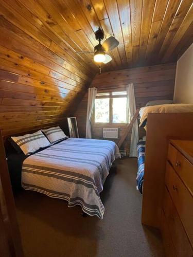 101 is all the fun 101 is all the fun