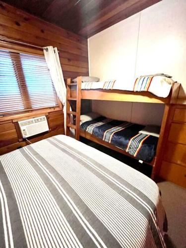 101 is all the fun 101 is all the fun