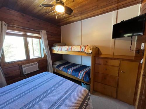 101 is all the fun 101 is all the fun