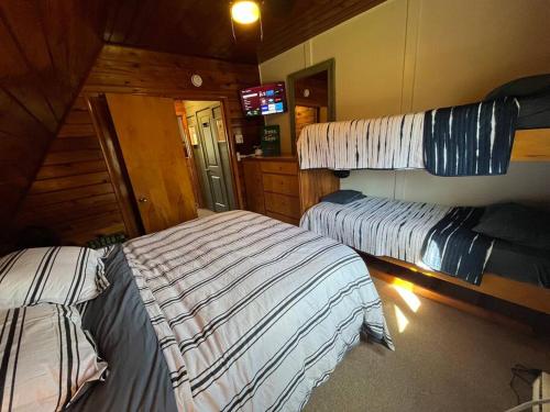 101 is all the fun 101 is all the fun