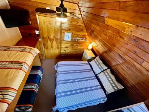 101 is all the fun 101 is all the fun