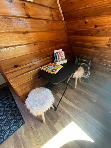 101 is all the fun 101 is all the fun