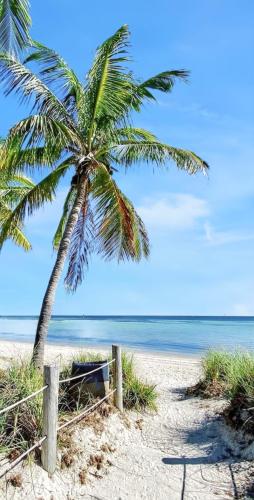 Exterior view, Appartement de 2 chambres avec piscine partagee jardin clos et wifi a Sainte Anne a 3 km de la plage in Berard