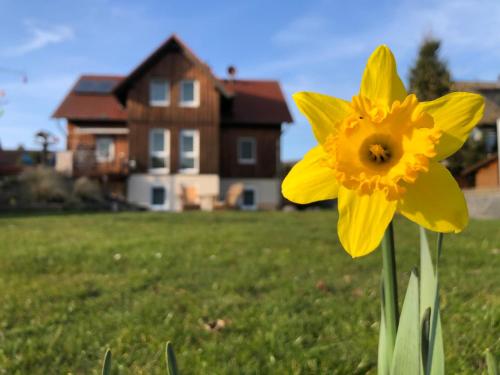 Exterior view, Ferienwohnung Werrablick Hedemunden - Gartenbenutzung mit Grill - WLAN in Atzenhausen