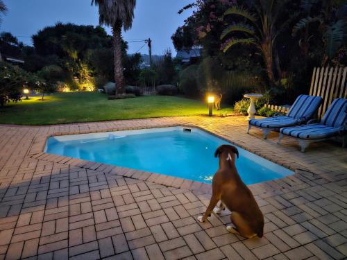 113 on Robberg, Plettenberg Bay (foto 10)