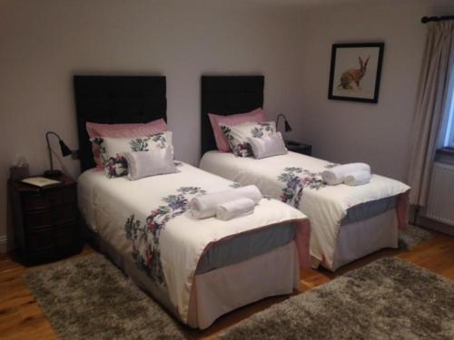 Cherry Tree Guesthouse - image 7